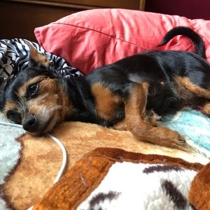 Meet your Posher, Shadia